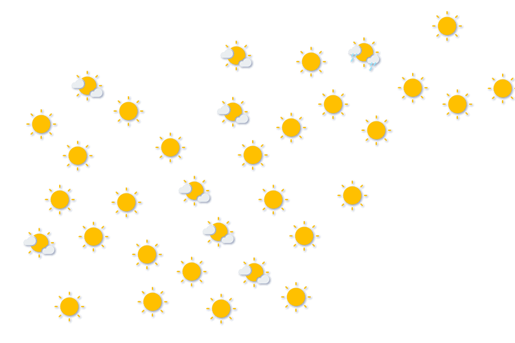 Forecast