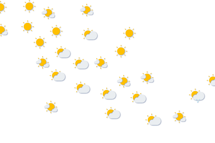 Forecast