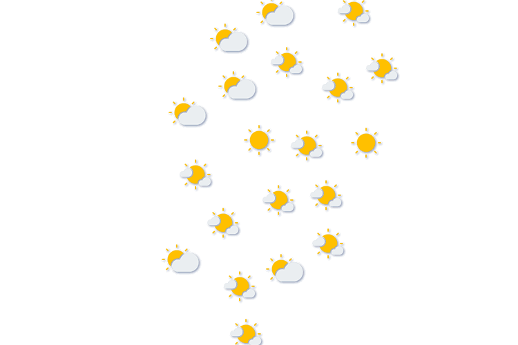 Forecast