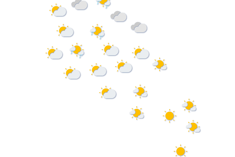 Forecast