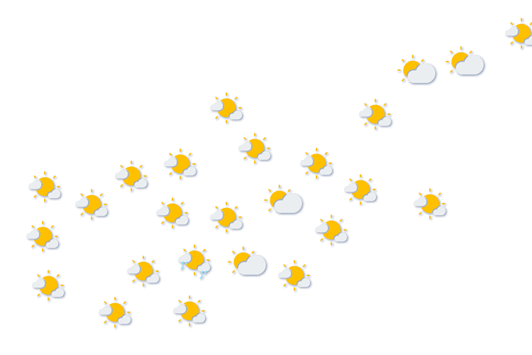 Forecast