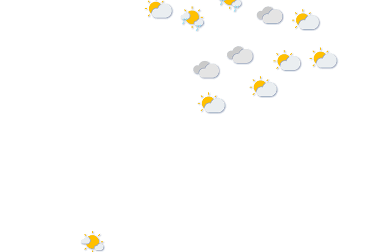 Forecast