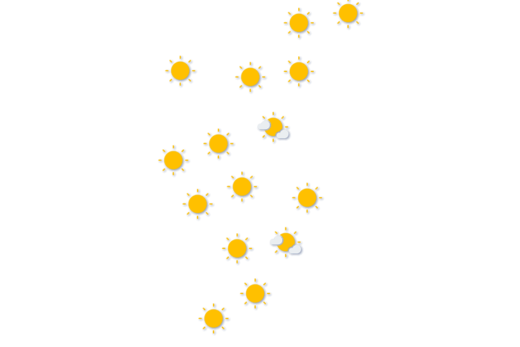 Forecast