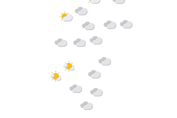 Forecast