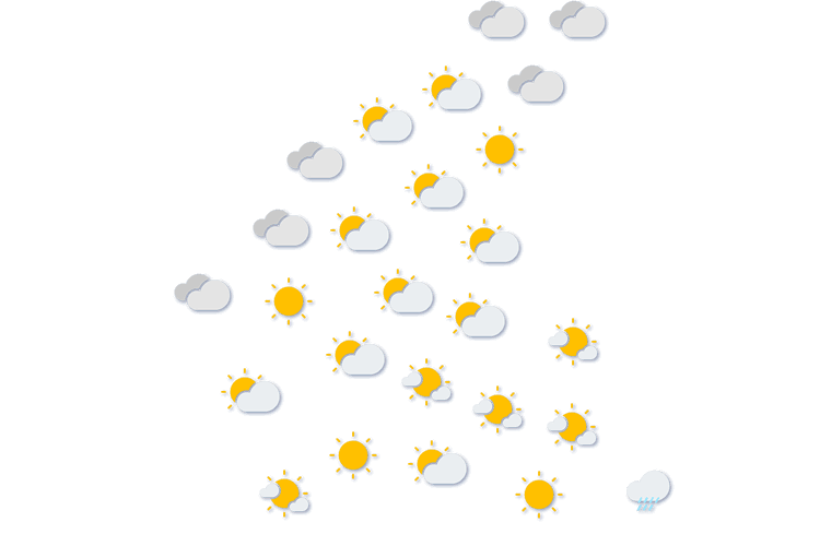 Forecast