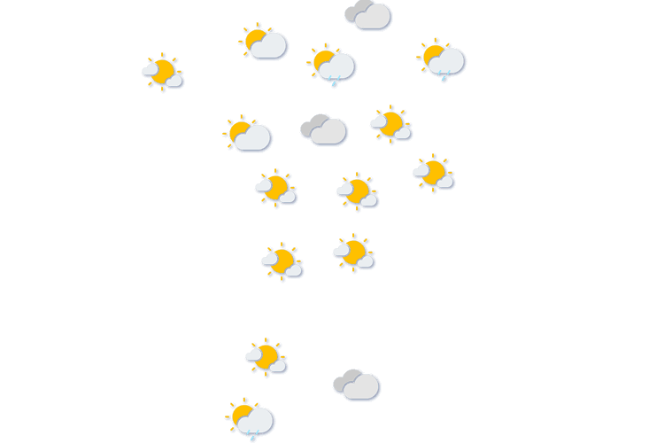 Forecast