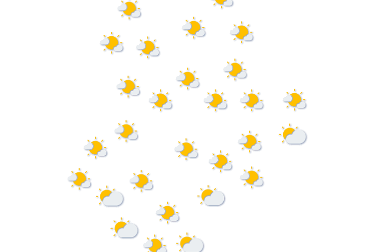 Forecast