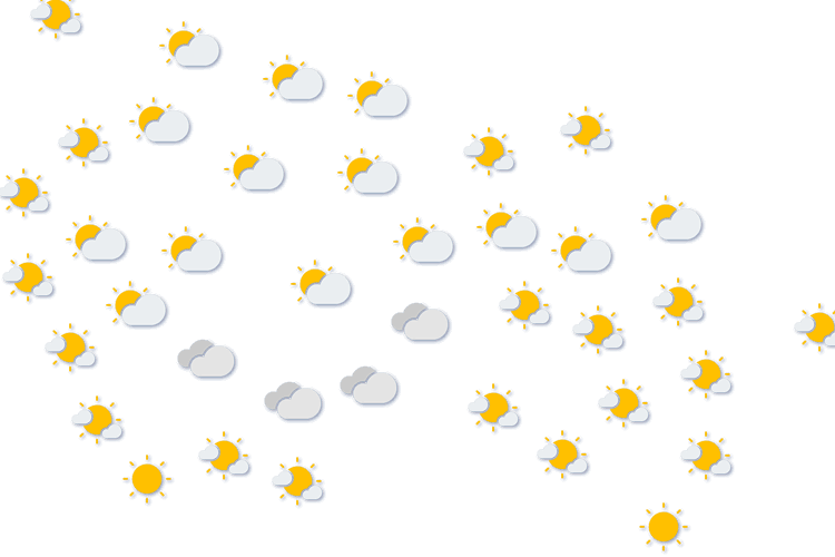 Forecast