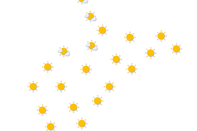 Forecast