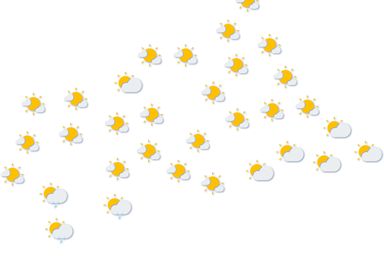 Forecast