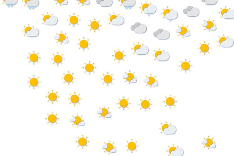 Forecast