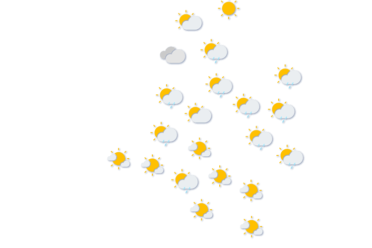 Forecast