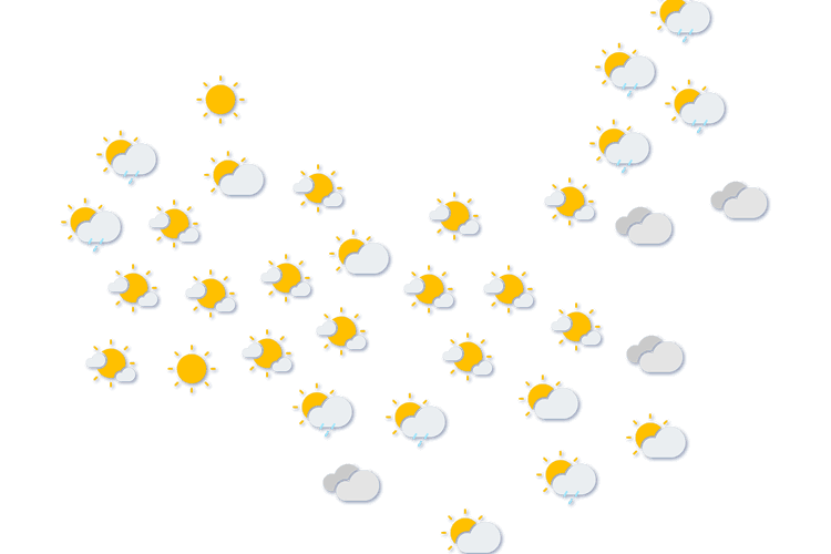 Forecast