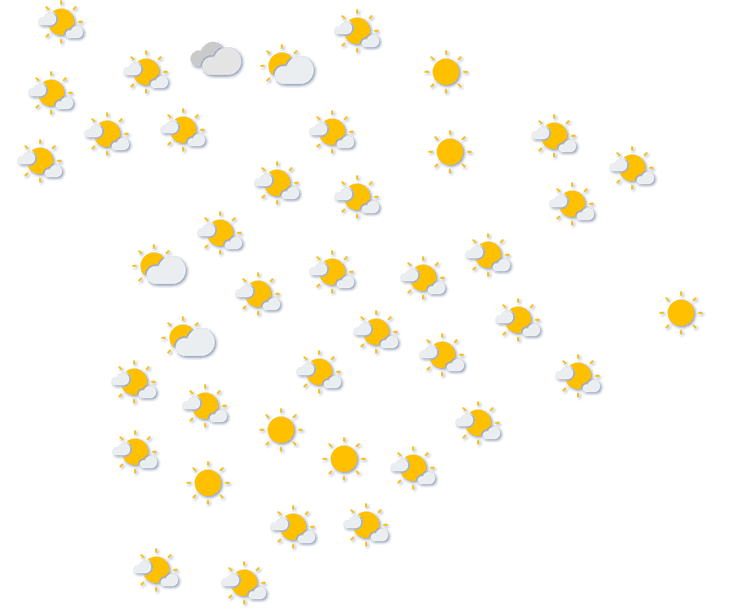 Forecast