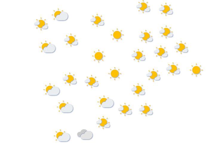 Forecast