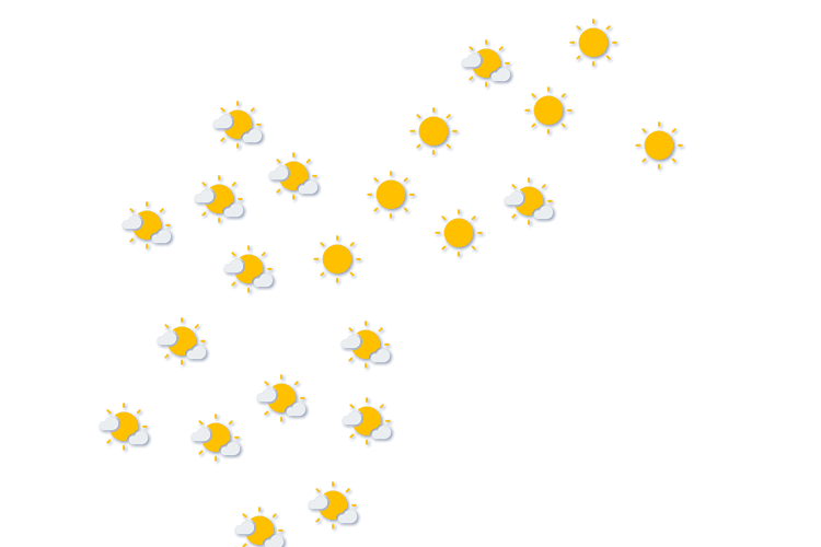 Forecast