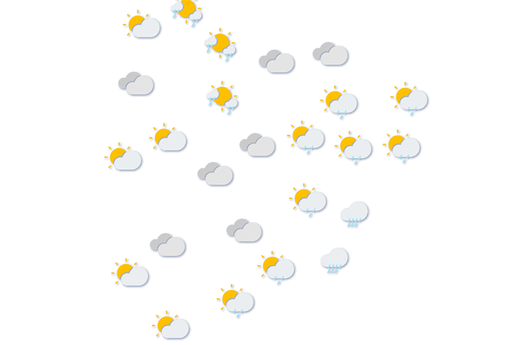 Forecast