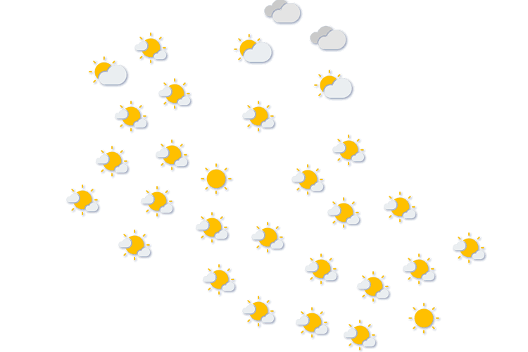 Forecast