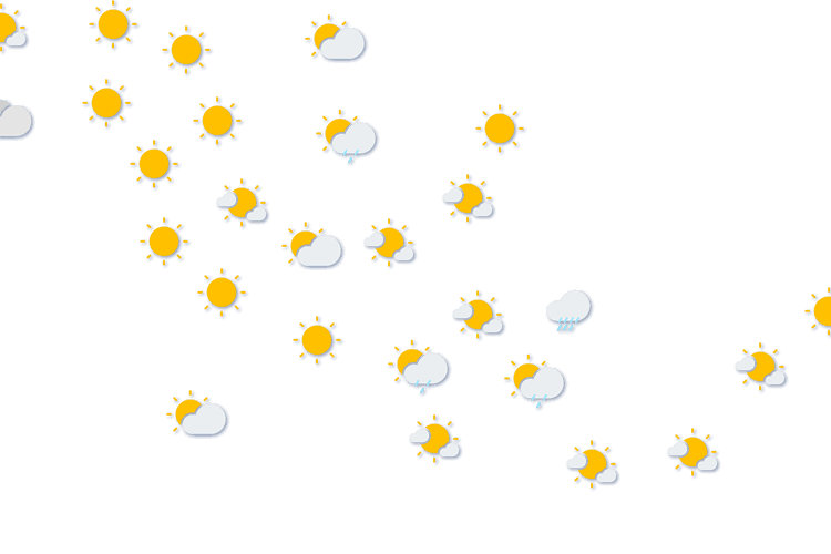 Forecast