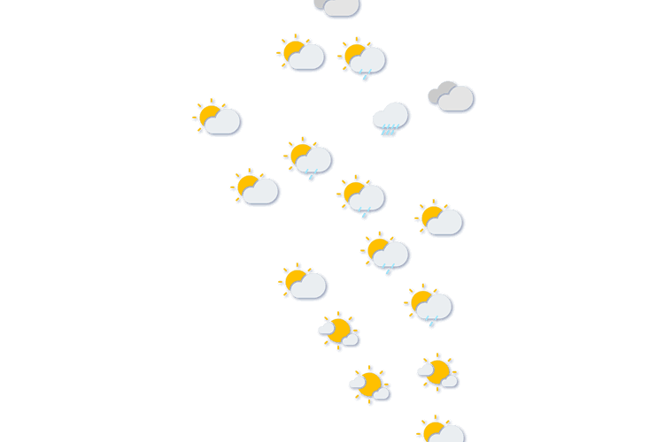 Forecast