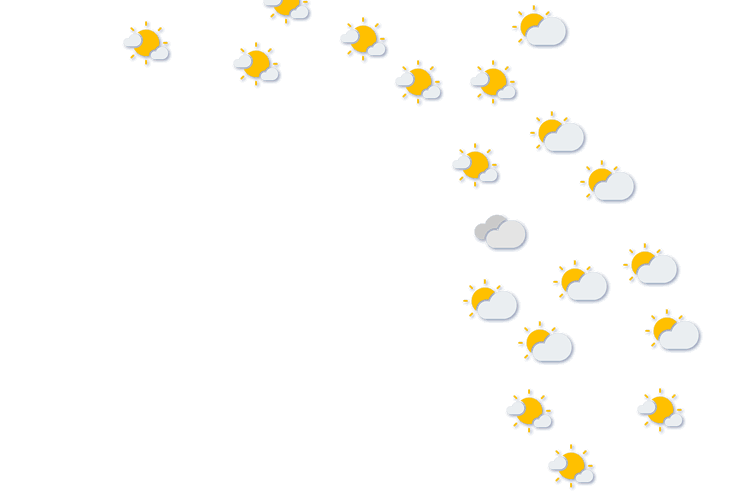 Forecast