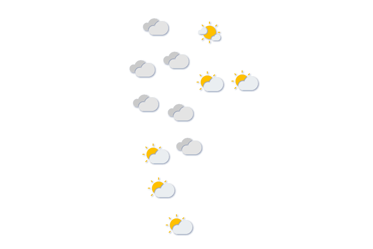 Forecast