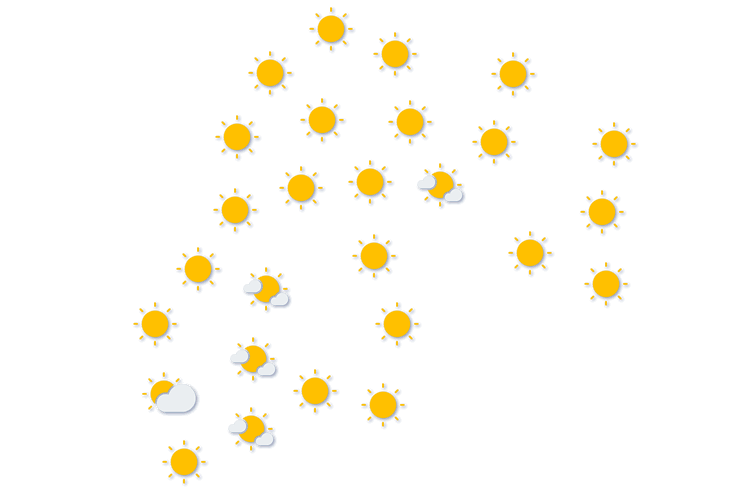 Forecast