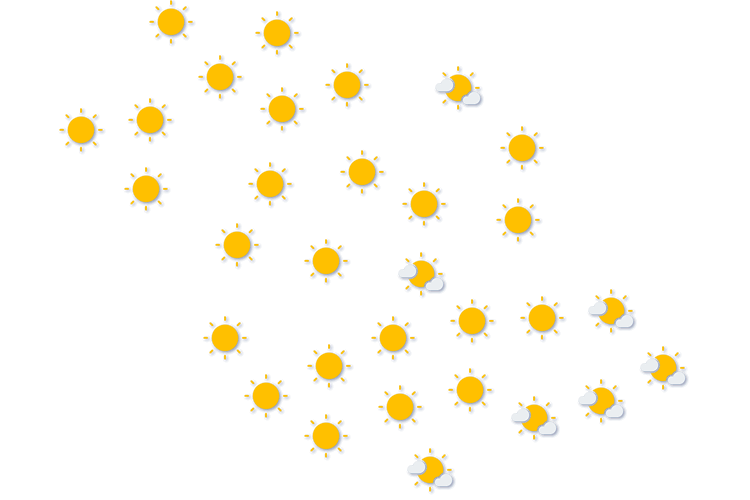 Forecast