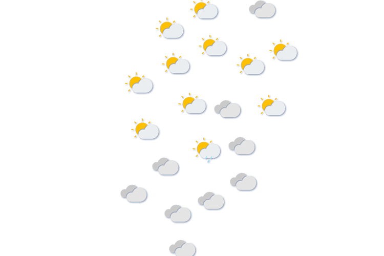 Forecast