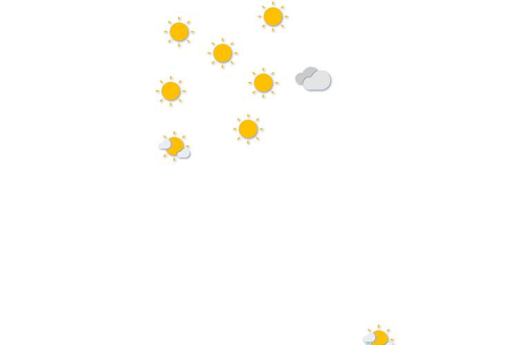Forecast