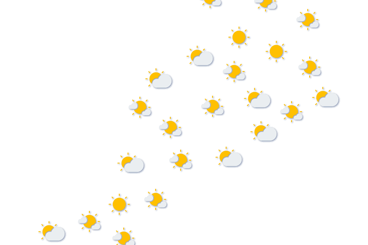 Forecast