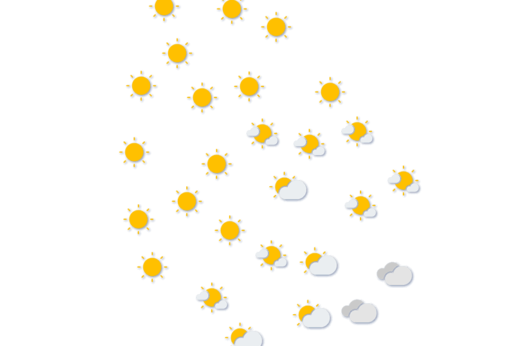 Forecast