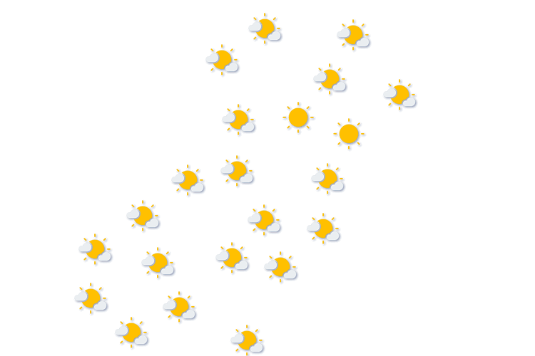 Forecast