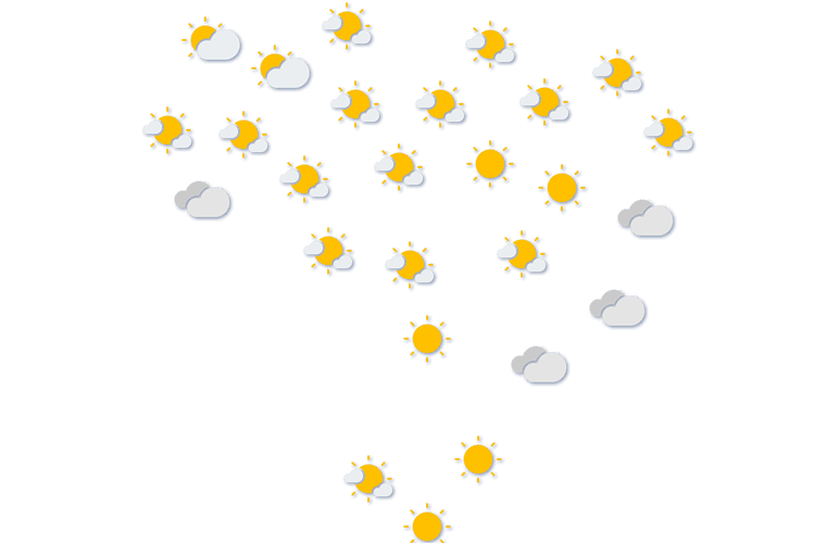 Forecast
