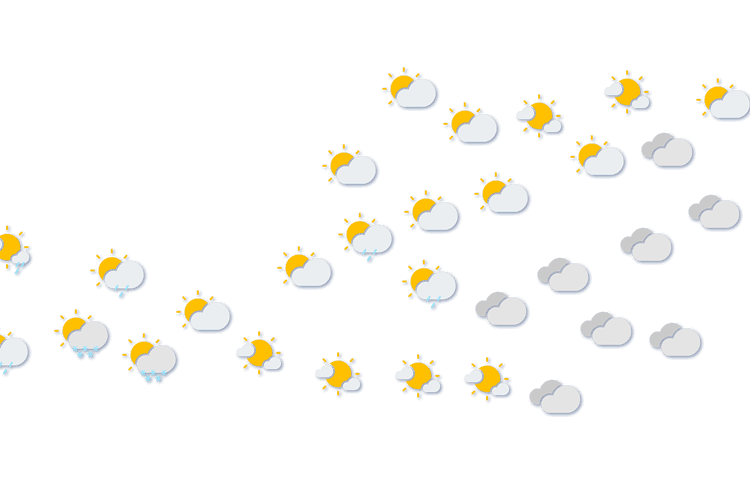 Forecast
