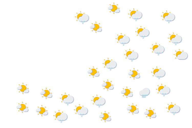 Forecast