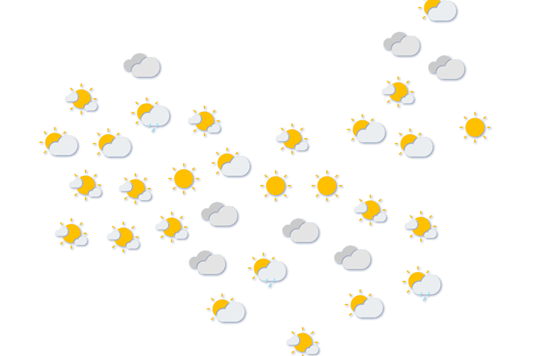 Forecast