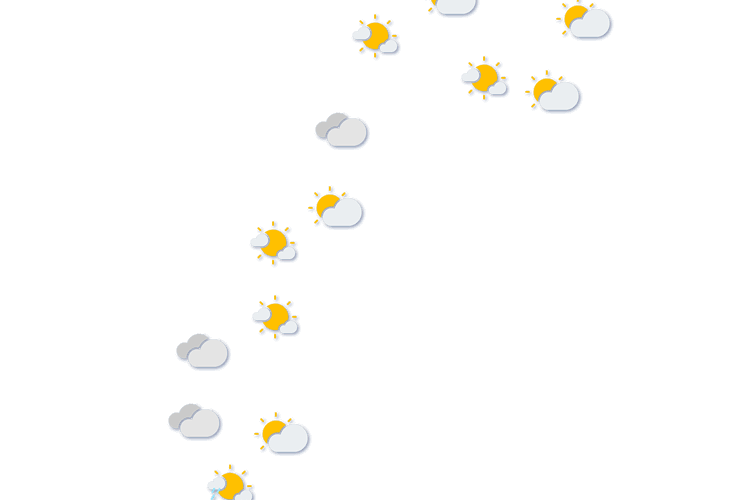 Forecast