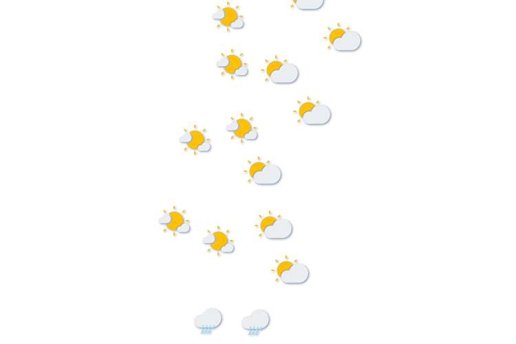 Forecast