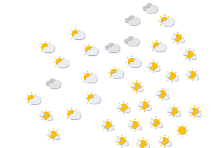 Forecast