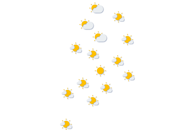 Forecast