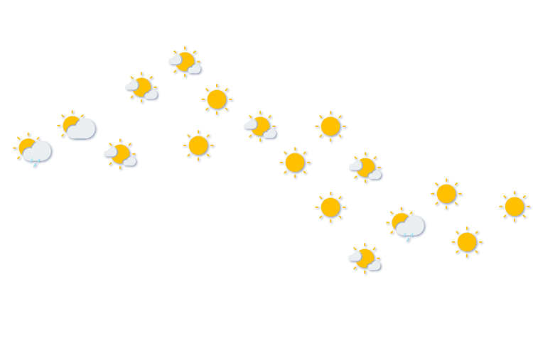 Forecast