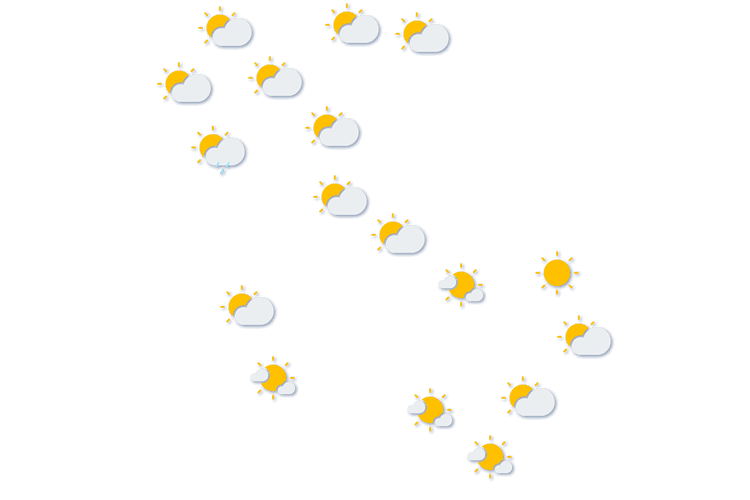 Forecast