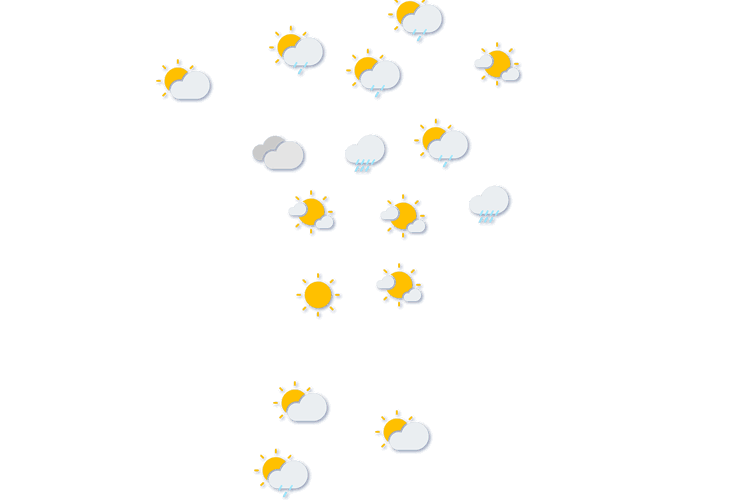 Forecast