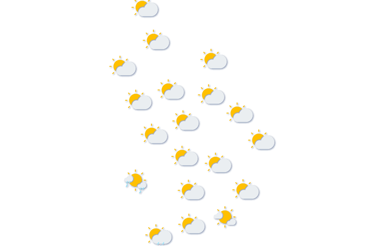 Forecast