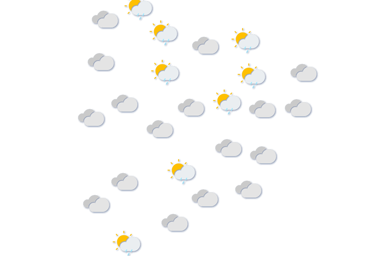 Forecast