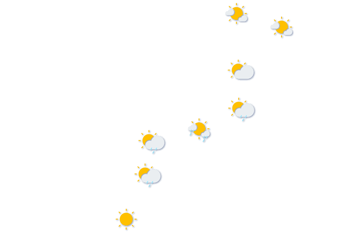 Forecast