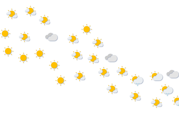 Forecast