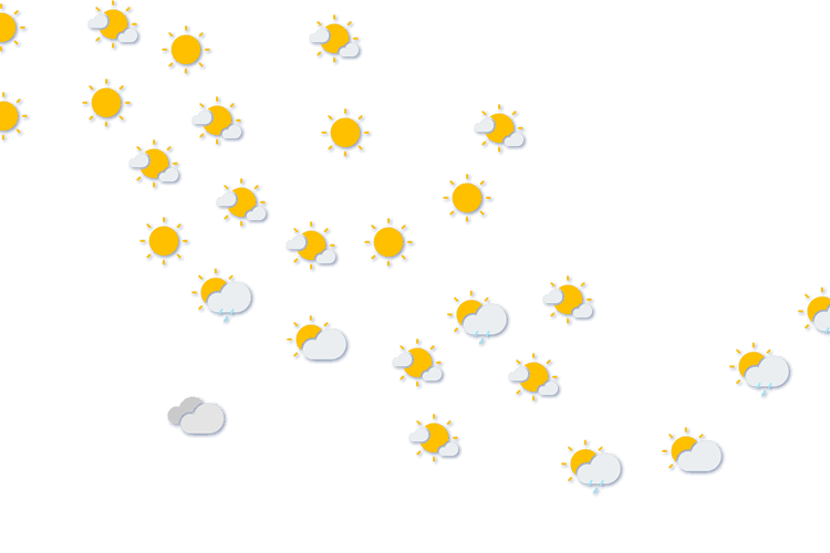 Forecast