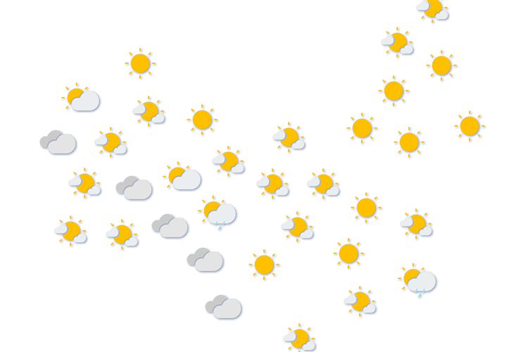 Forecast
